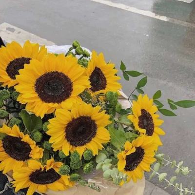 半岛官方APP入口下载手机版