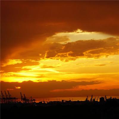 香港2023正版免费资料app下载