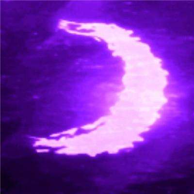 国内最大竞彩跟单APP