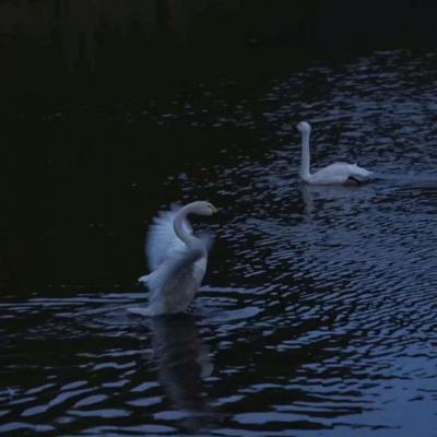 金年会官网手机版下载