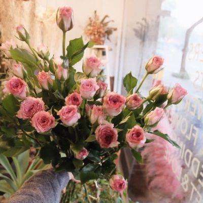 hth·华体育官方