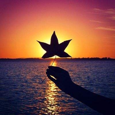 leyu·乐鱼(中国)体育