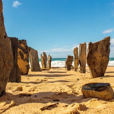 金年会官网手机版下载