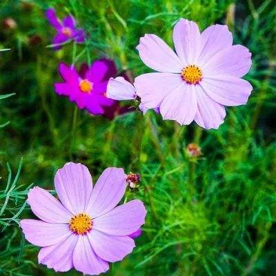 im电竞官网下载手机版