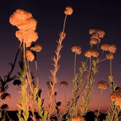 云开·全站中国官方网站