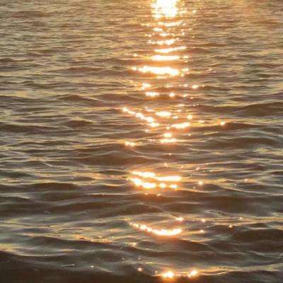 任你博手机app下载