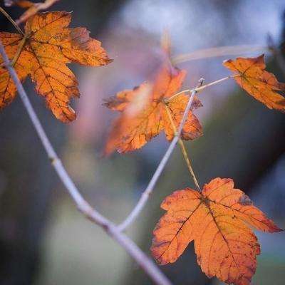 新乐动体育app下载官网